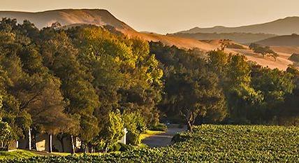 Koehler Winery